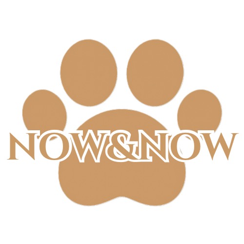 paw